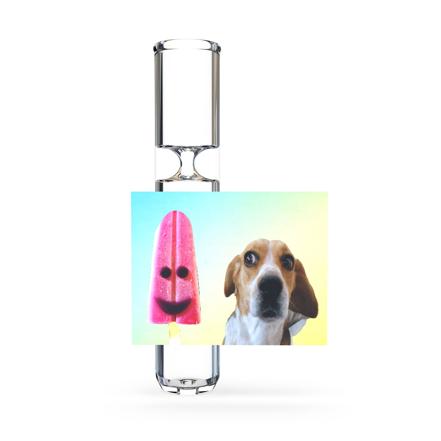 Pets on Pipes glass chillum pipe.