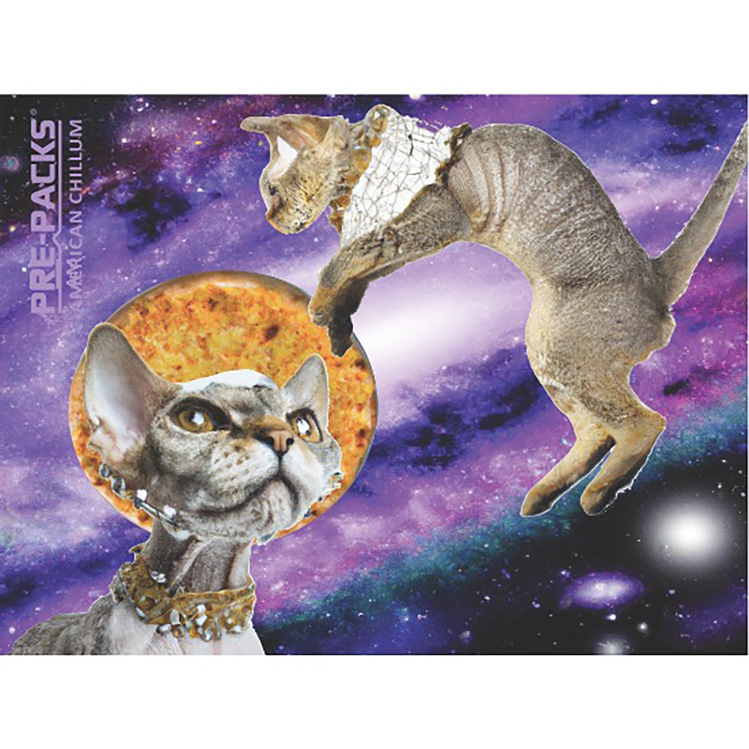 Space Explorer Hairless Cats Animal Pre-Made Design Chillums